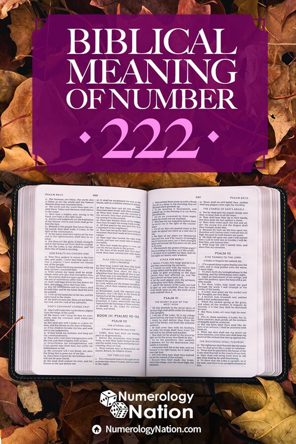 biblical meaning of number 222